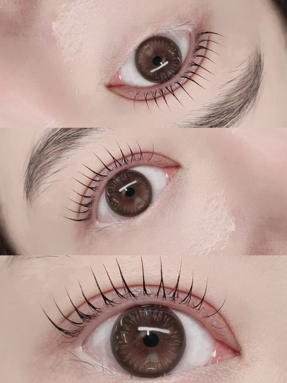 Lash Lift & Tint