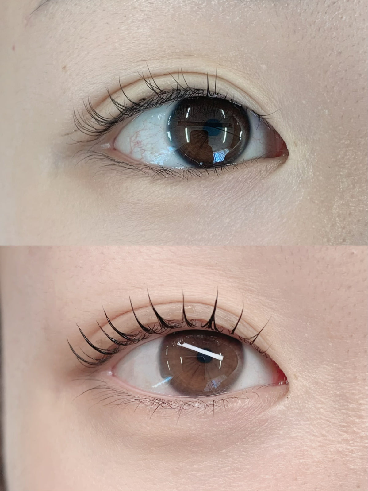 Lash Lift & Tint