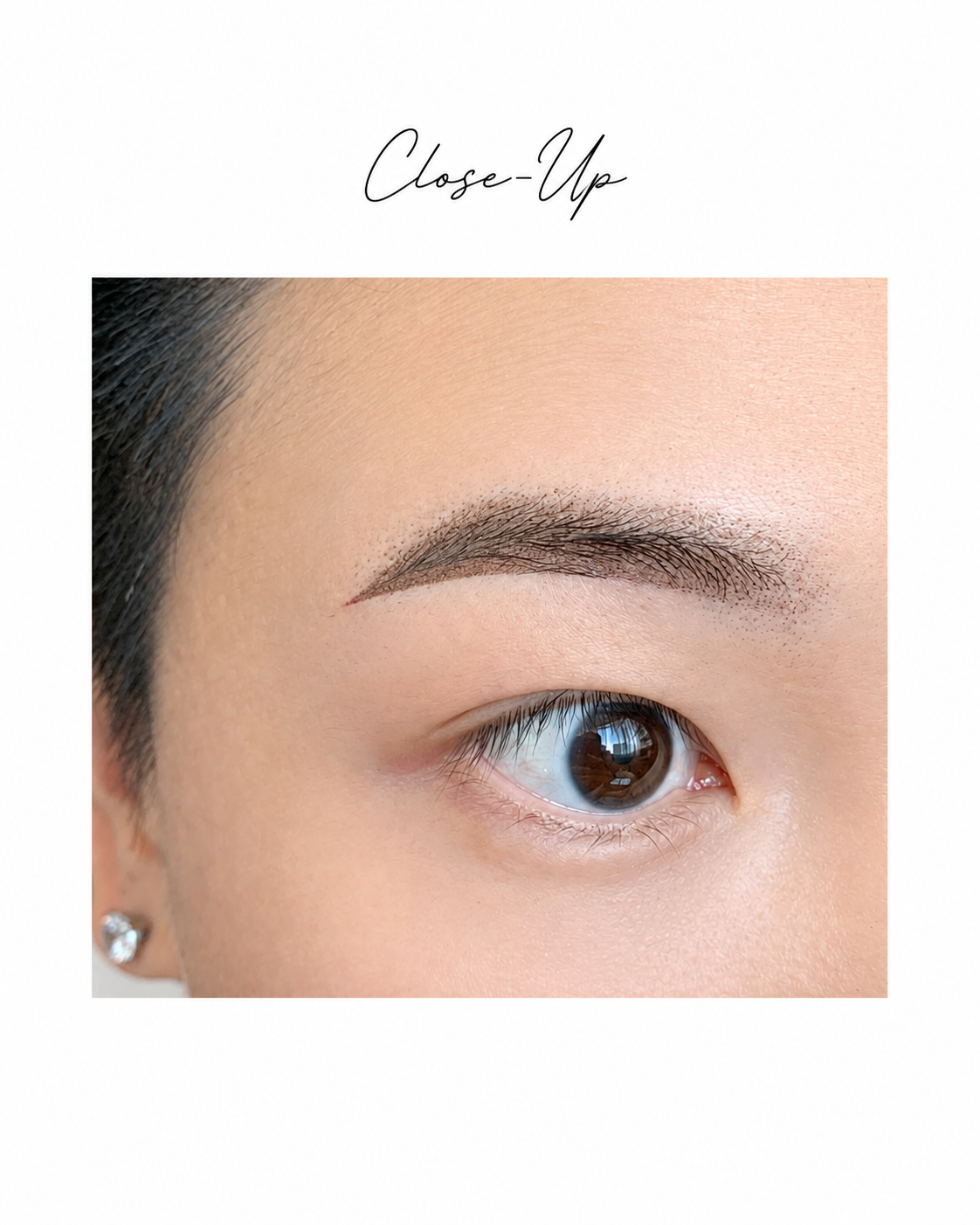 Ombre Shading Brows