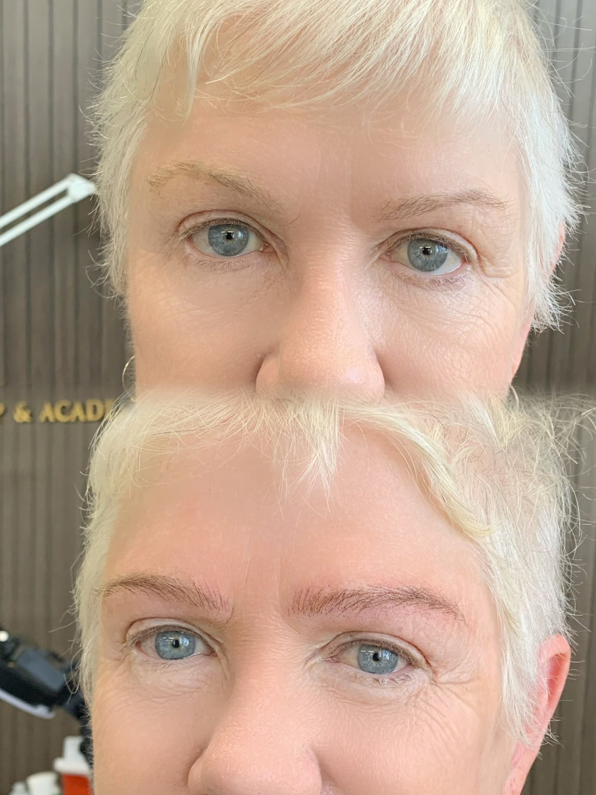 Hairstroke Brows (Nano/Digital)