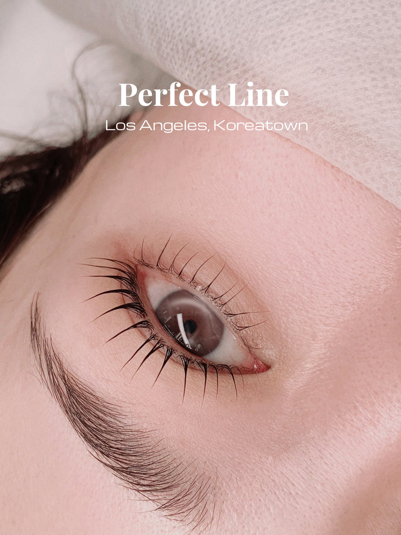 Eyelash perm lash lift result — Perfect Line LA Korean PMU studio 속눈썹펌 엘에이