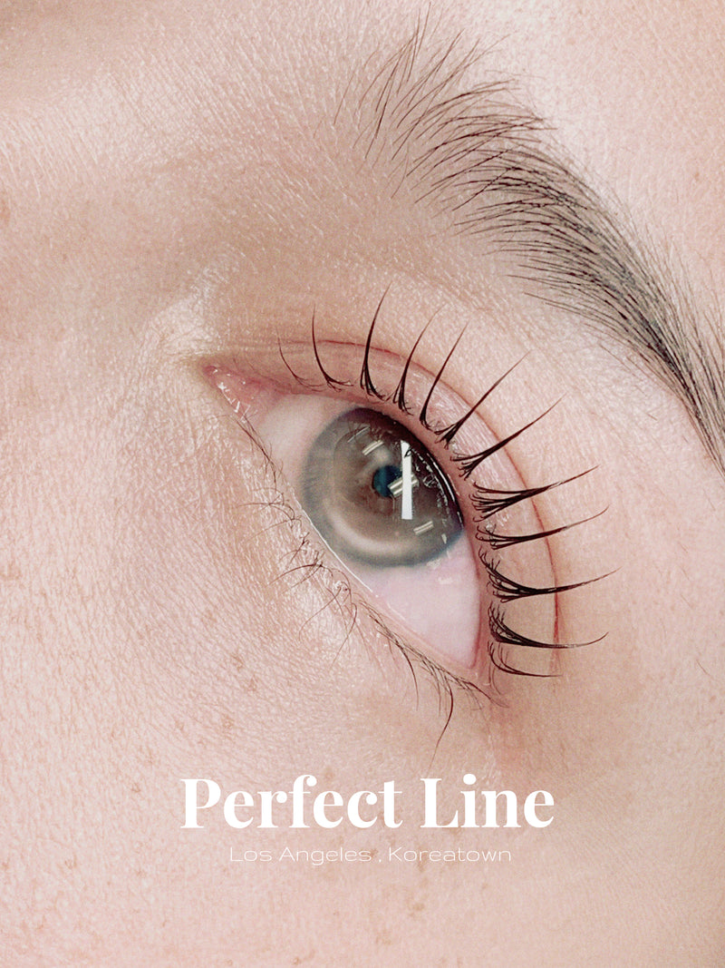 Lash lift natural curl result — Perfect Line LA Koreatown 래시 리프트 코리아타운