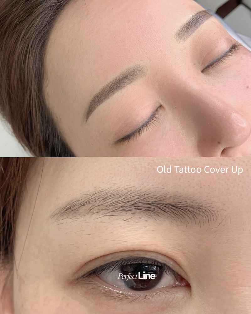 Ombre powder brow result — Perfect Line LA semi-permanent makeup Koreatown 옴브레 파우더 브로우