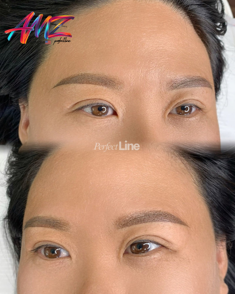 Ombre powder brows healed close-up by Yu-Jin — Perfect Line Koreatown LA